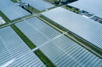 Real-time Management