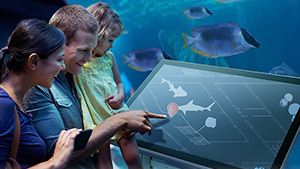 Enhancing Customer Experience with Rugged and Stylish Wayfinding Kiosks